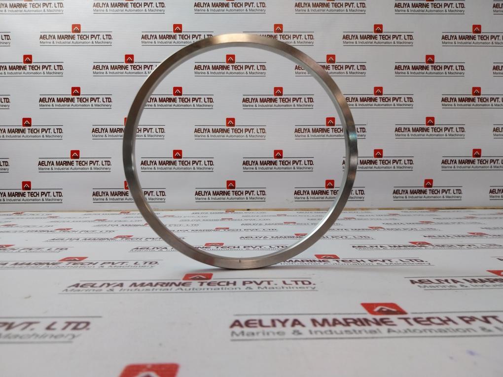 Lone Star 140170-10-01-04 Bonnet Seal Ring