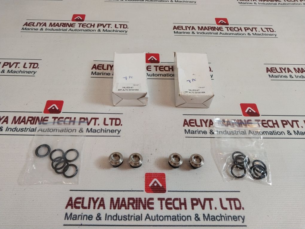 Lot Of 2X Alto 301001494 Valves Kit
