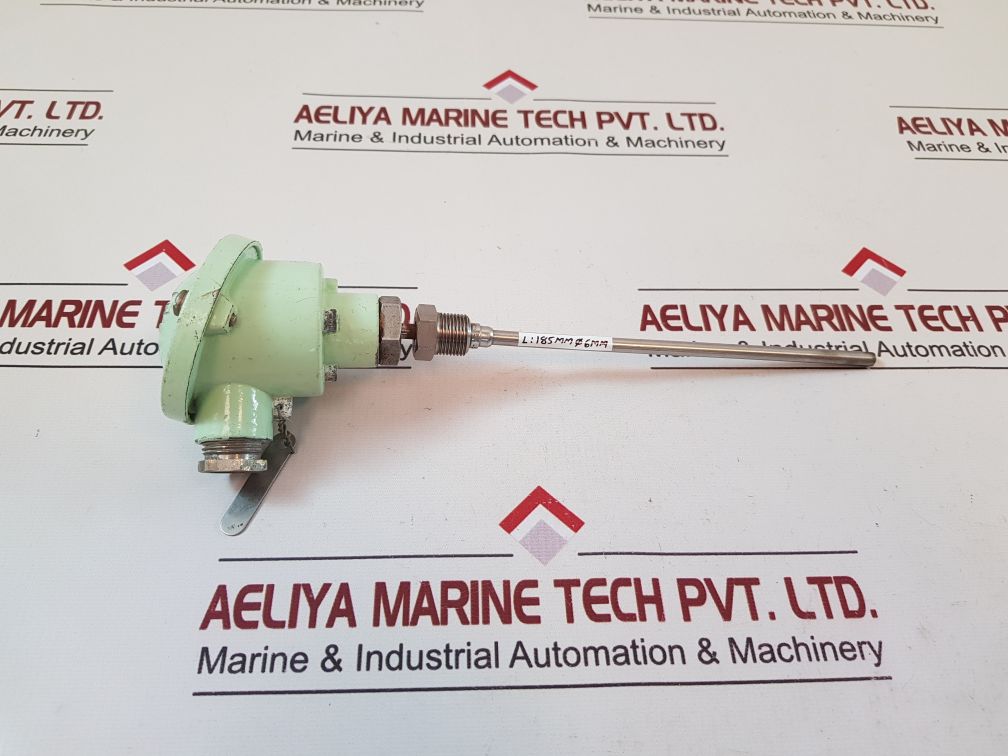 Master italy 2 pt 100 resistance temperature detector