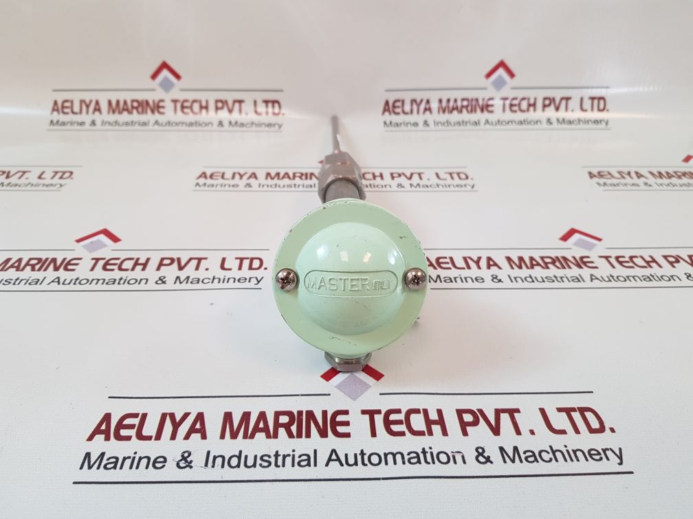 Master italy 2 pt 100 resistance temperature detector