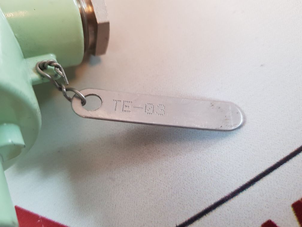 Master italy 2 pt 100 resistance temperature detector