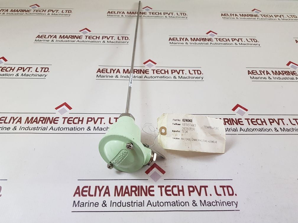 Master italy 2 pt 100 resistance temperature detector