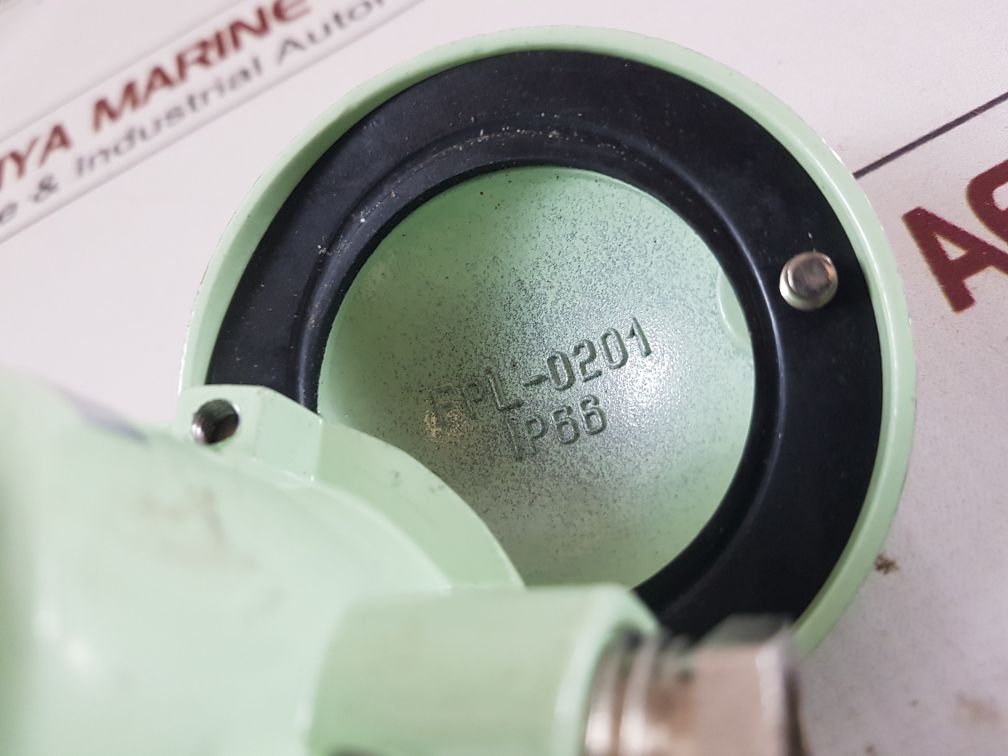 Master italy 2 pt 100 resistance temperature detector