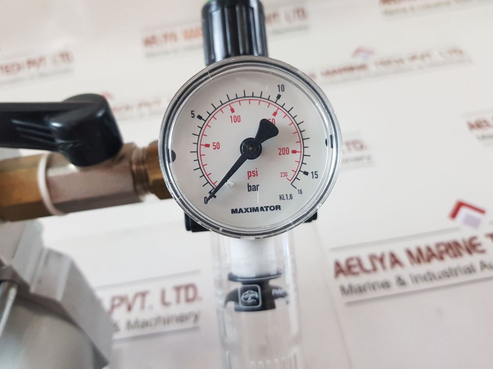 Maximator S 60-02 Air Driven Pressure Pump