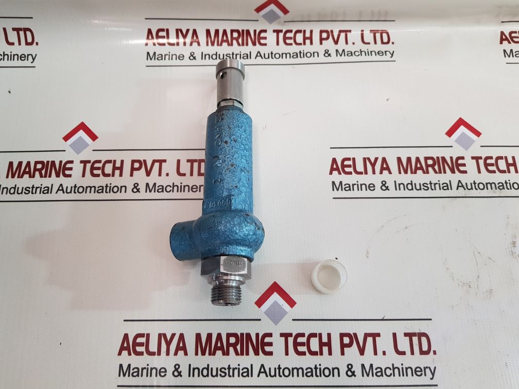 Niezgodka 10.1 Safety Valve