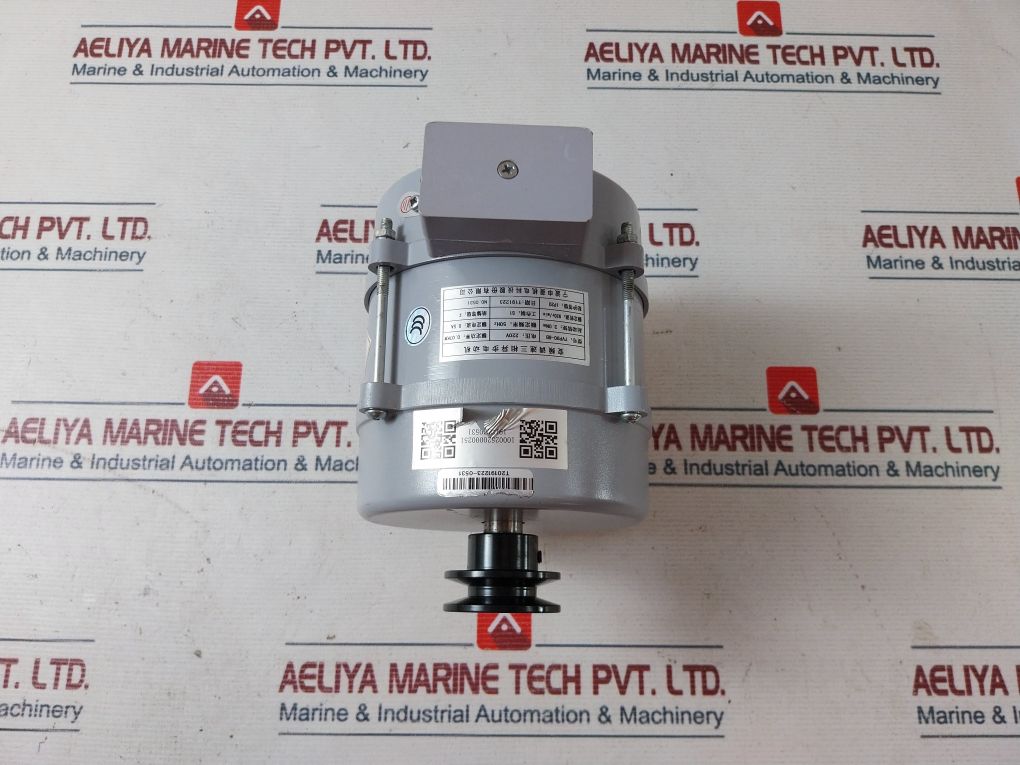 Ningbo Shenling Yvp90-6B Three-phase Asynchronous Motor