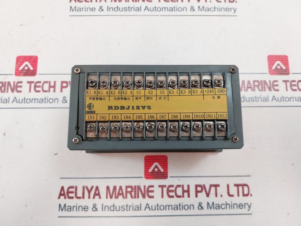 Rongde Rdbj12V5 Multi-function Indicator