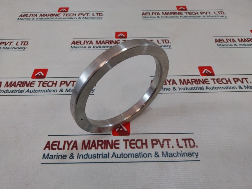 Sara-sae Bx155-316Ss Gasket Vanco Ring S316-4