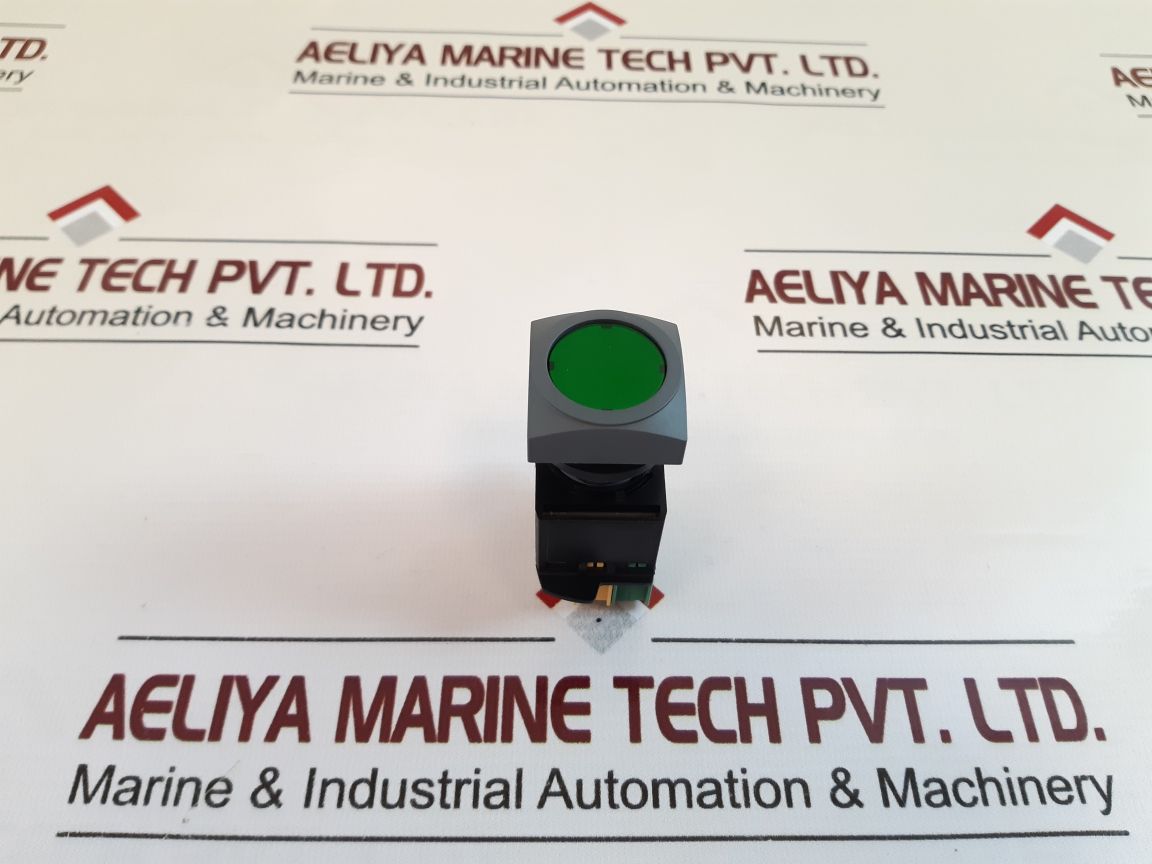 Schlegel MlMti Auxiliary Contact Green Push Button