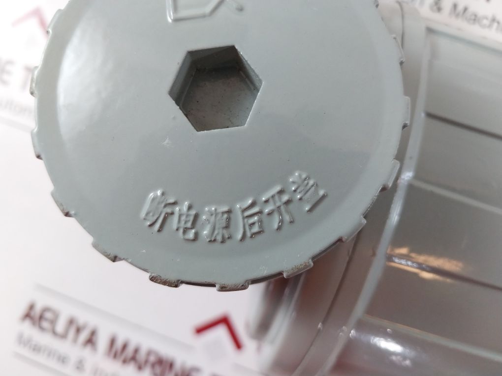 Shanghai Wssx-411B Industrial Bimetal Thermometer