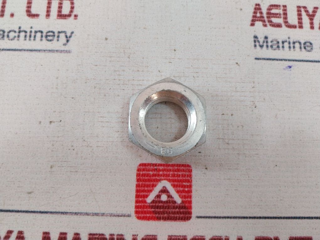 Speedaire 1/2" (12.7Mm) Air Hose