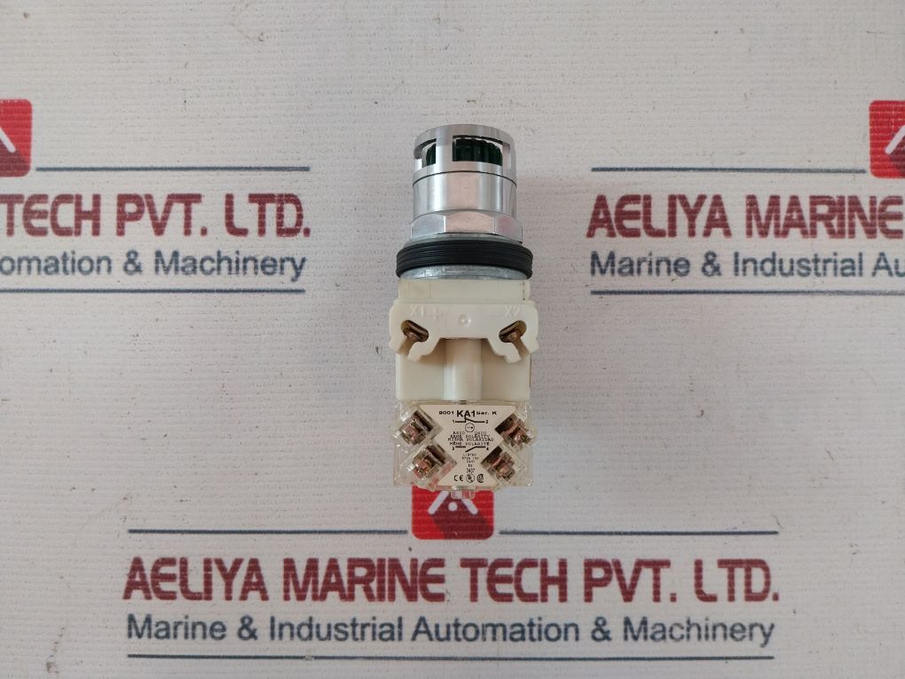 Square D 9001K3L35Lggh13 Illuminated Pushbutton