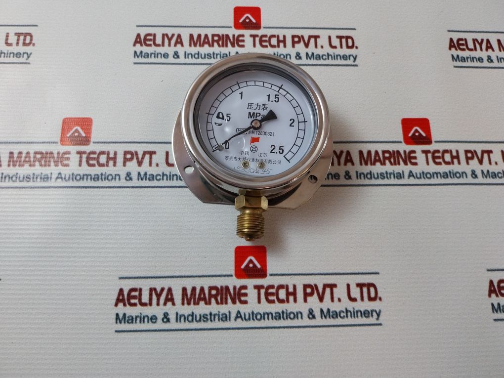 Taixing Dahua 12830321 Pressure Gauge
