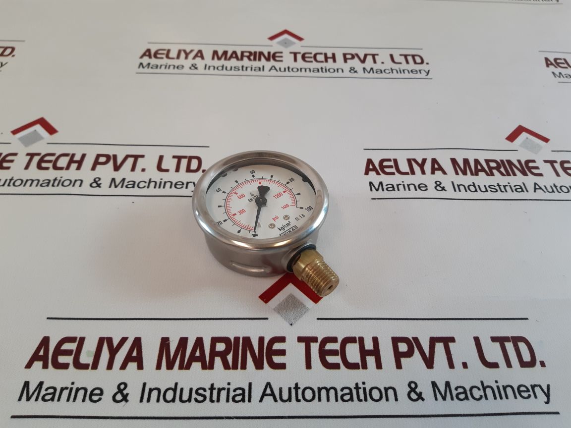 Wika 212.53.063 Pressure Gauge
