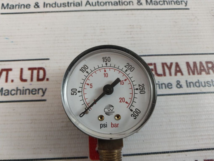 0-20 Bar Pressure Gauge 0-300 PSI