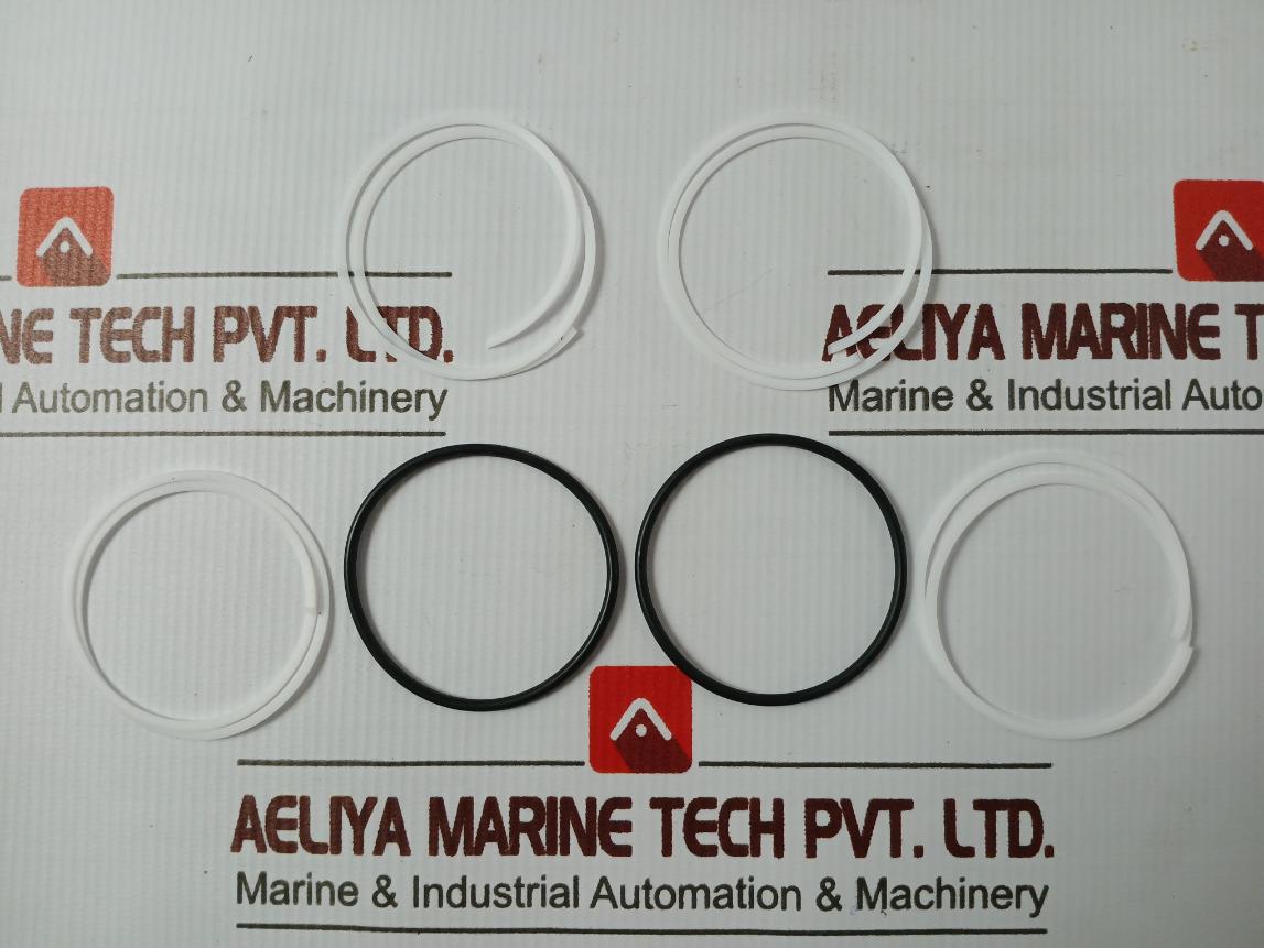 021-0146Sk Seal Kit For Hydraulic Cylinder 100X75X22.4