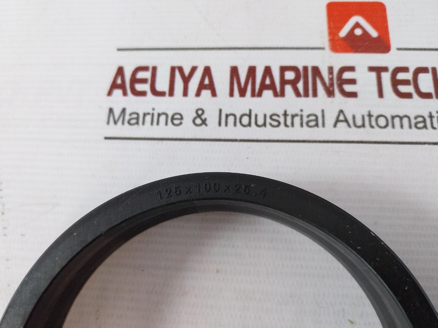 021-0214Sk Seal Kit For Hydraulic Cylinder 30130071 125 X 100 X 25.4 Mm