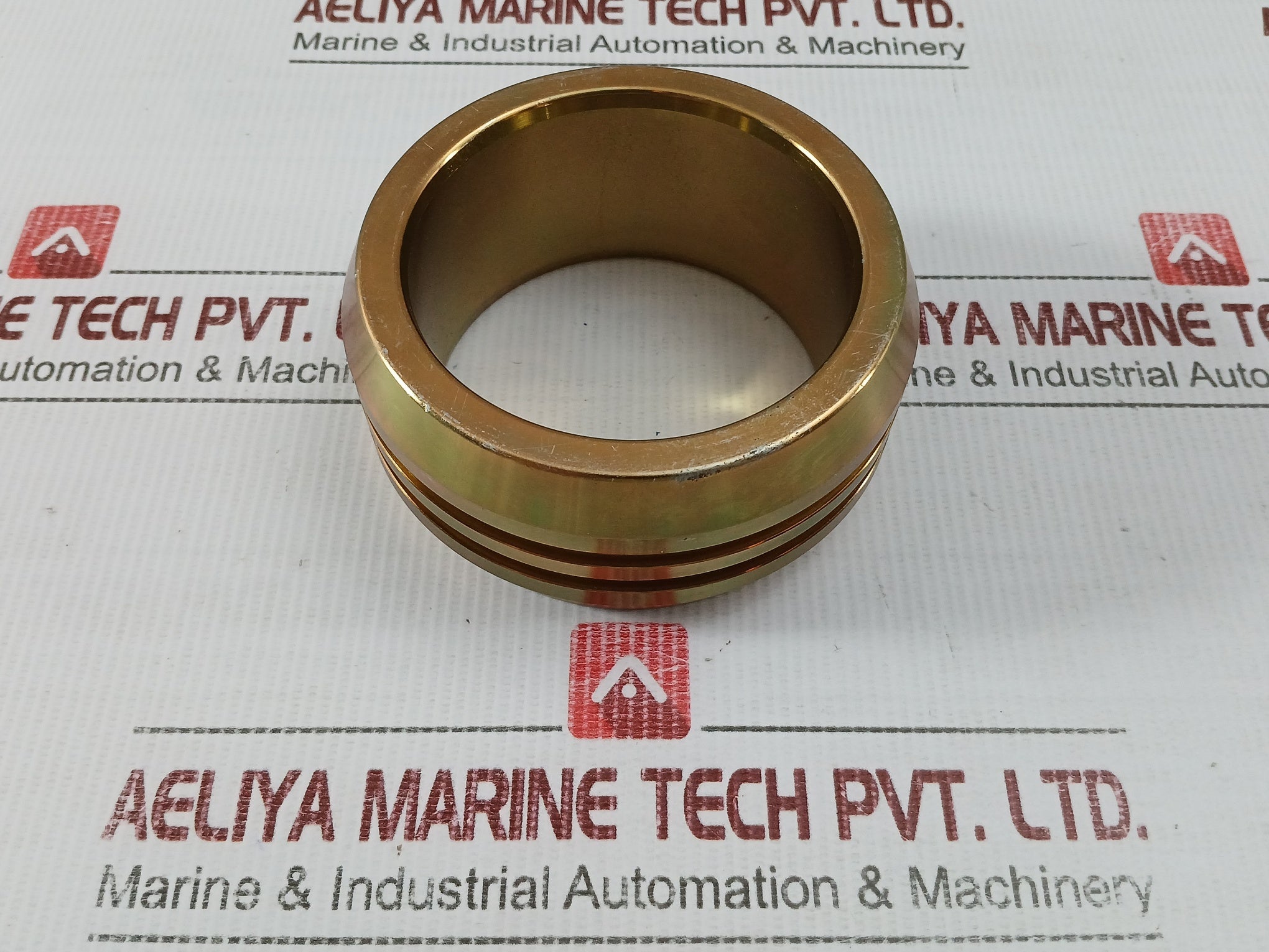 Ciw 041700-25 Gasket Ring 3-1/16"