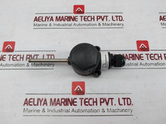 06293190944327310 Two-wire Temperature Probe With Ip68 Enclosure