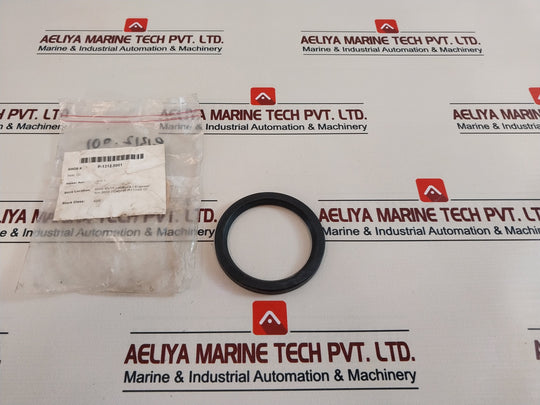 60 100 10 Seal Oil