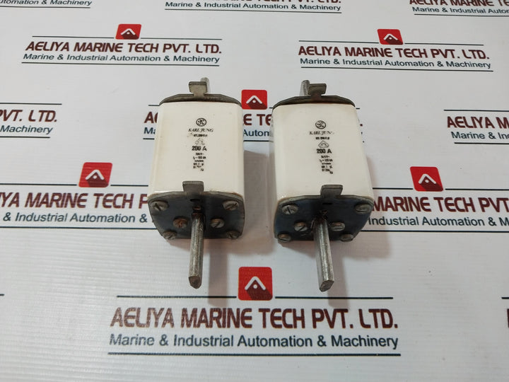 Karl Jung Iec 269-2 Gl Fuse 200A 500V