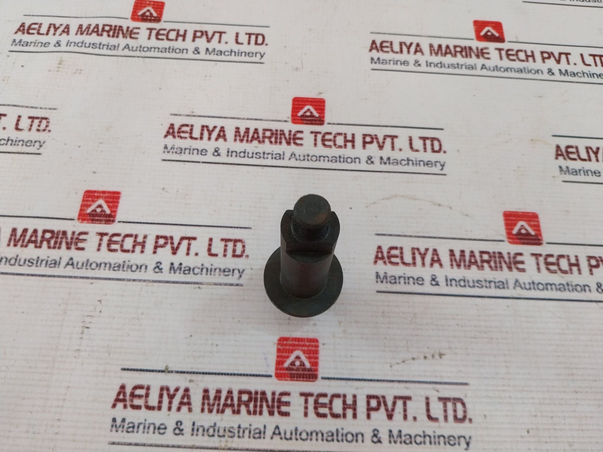 Roger 380901 Bolt Sv1581 100 010, 0674126 103
