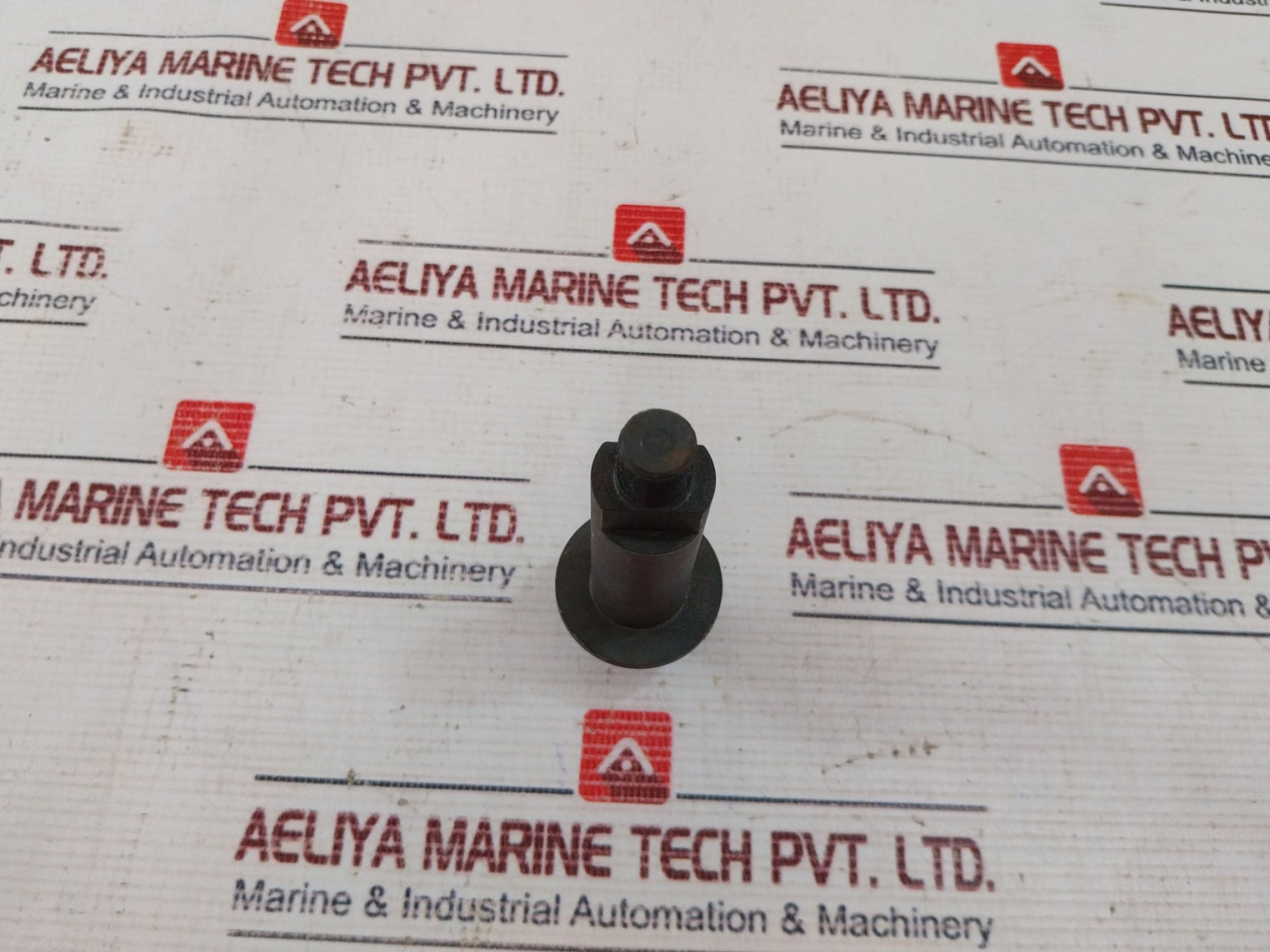 Roger 380901 Bolt Sv1581 100 010, 0674126 103