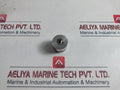 100299 Piston Valve Spm 0000003058