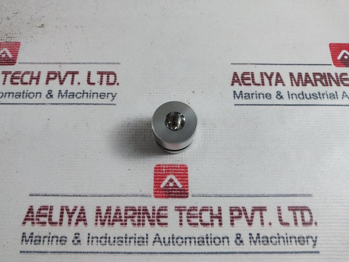 100299 Piston Valve Spm 0000003058