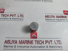 100299 Piston Valve Spm 0000003058
