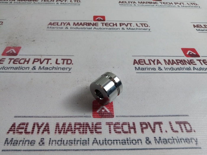 100299 Piston Valve Spm 0000003058