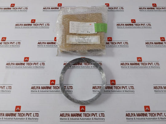 102 Main Boiler Outlet Valve Seal Ring