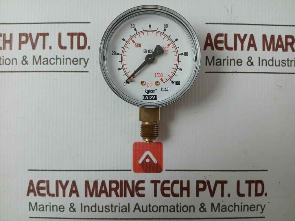 Pressure Gauge 111.10.063 Wika