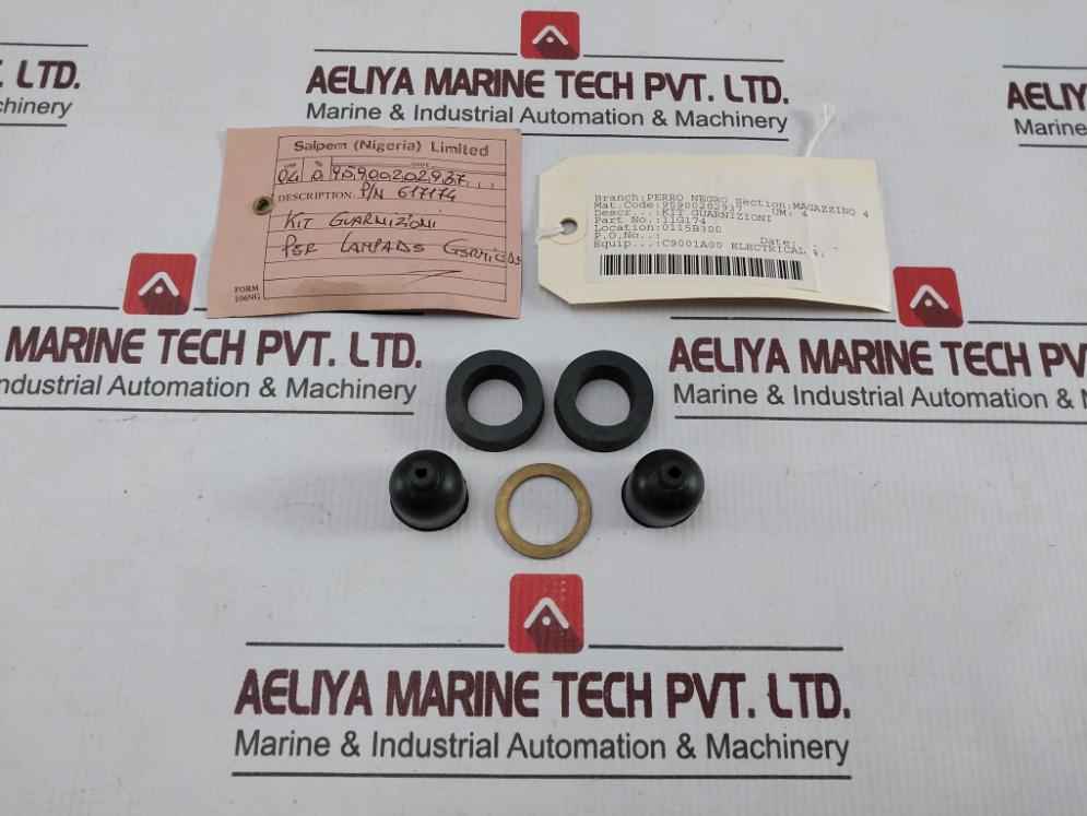 11G174 Gasket Kit 95900202937 C9001A00 P/N 617174