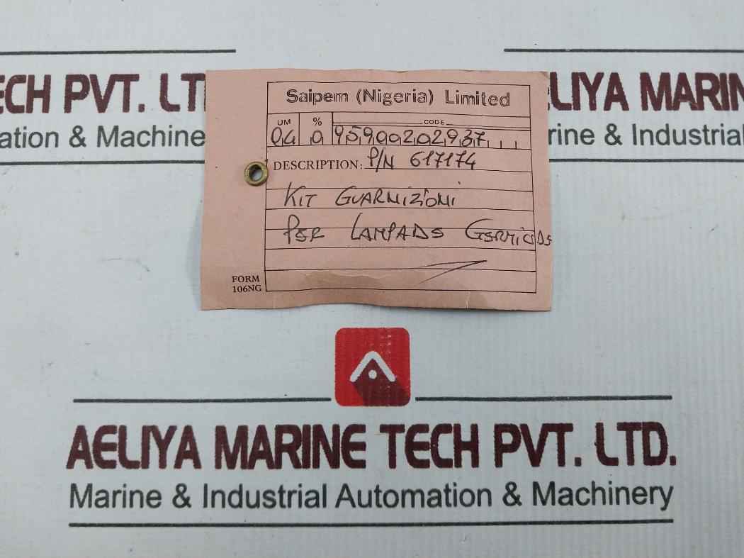 11G174 Gasket Kit 95900202937 C9001A00 P/N 617174