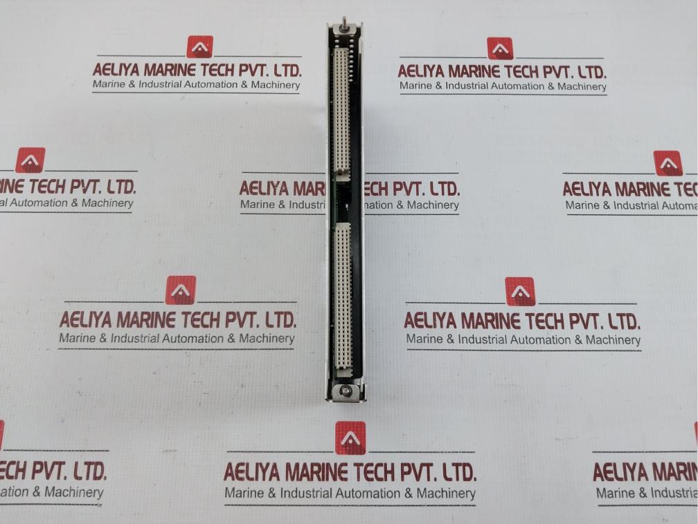128229-01 Bently Nevada Input/Output Module