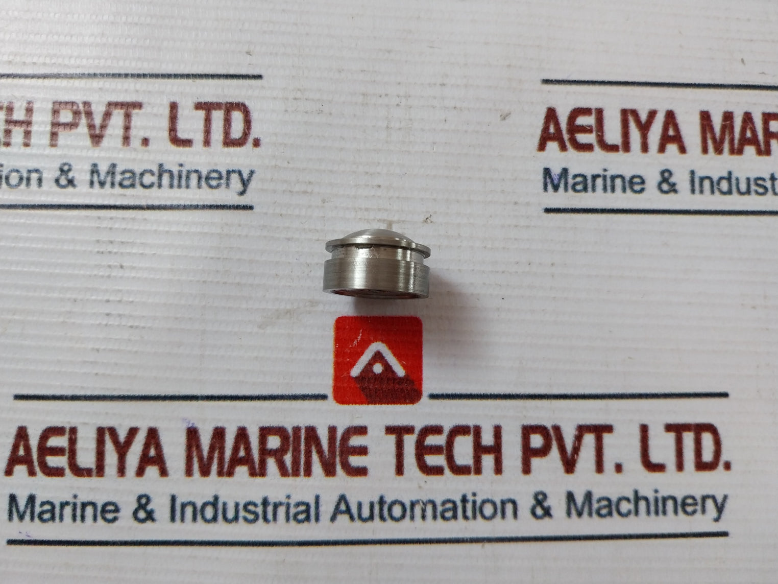 136978 Disc Insert Blank Flange