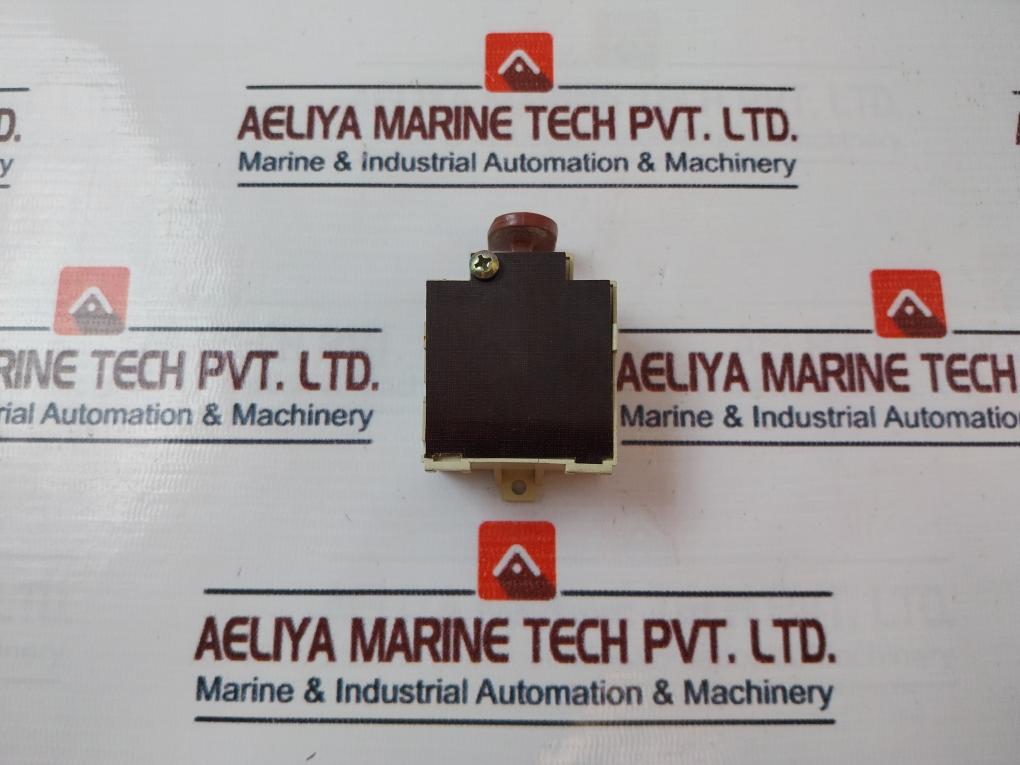 16(4)/250~ T85 Micro Switch