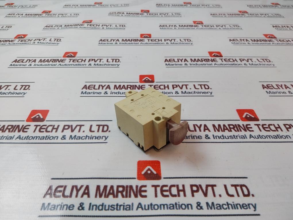 16(4)/250~ T85 Micro Switch