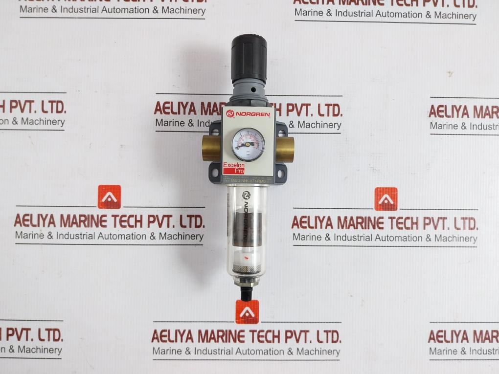 Excelon Pro Pneumatic Filter Regulator 145 Psi 10 Bar Norgren B92G-nnk-at1-rmg