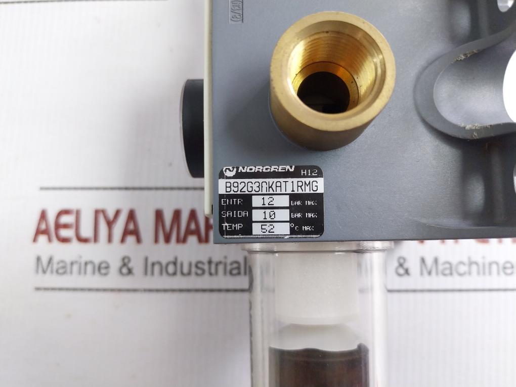 Excelon Pro Pneumatic Filter Regulator 145 Psi 10 Bar Norgren B92G-nnk-at1-rmg