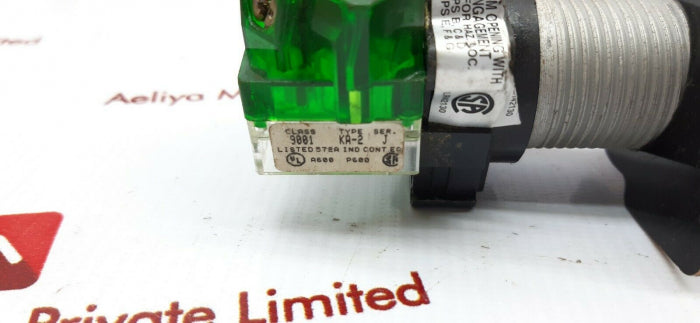 Curlee Ka-2 Pilot Light Class 9001 Contact Block