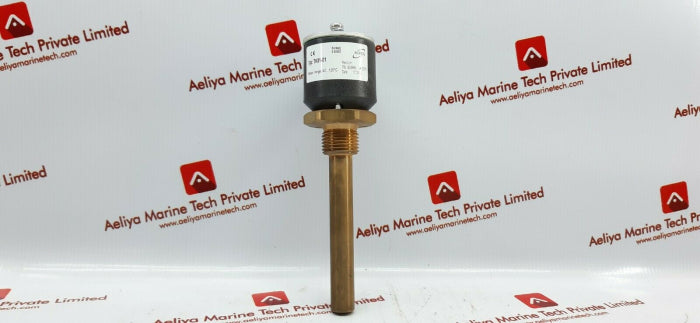 Noris Th31-01 Stainless Steel Stick In Sensor