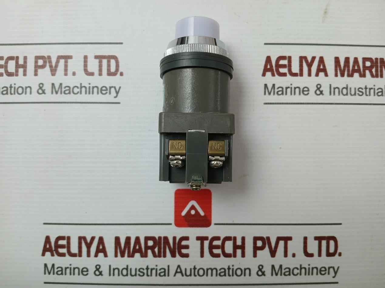 18V 2W Brand Idec 50-60 Hz Push Button Switch- 600V