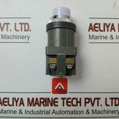 18V 2W Brand Idec 50-60 Hz Push Button Switch- 600V