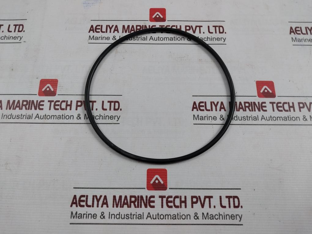 1900001-363 O-ring
