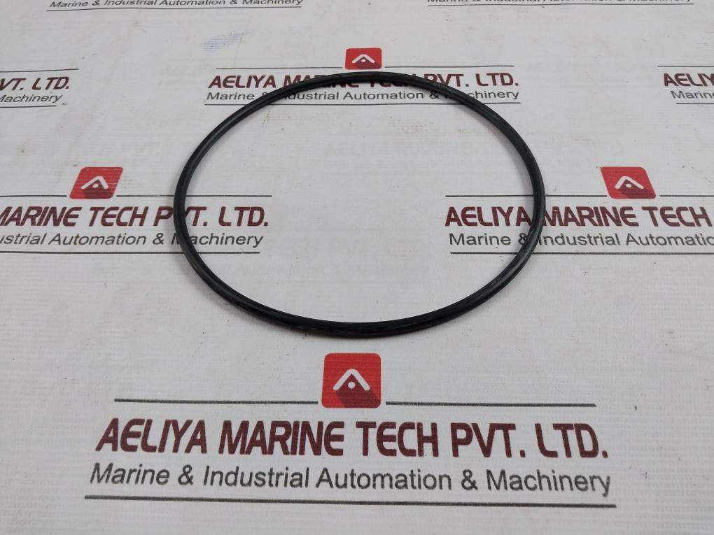 1900001-363 O-ring