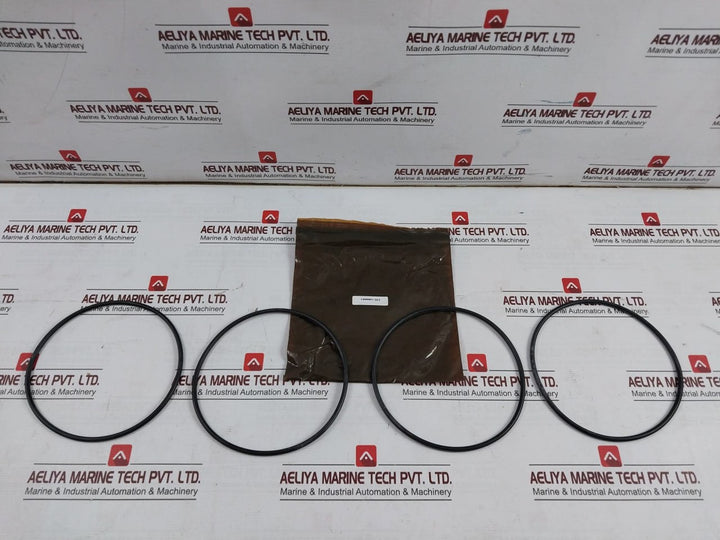 1900001-363 O-ring