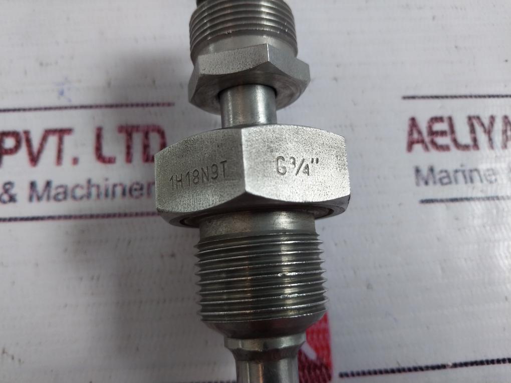 1H18N9T G3/4” Temp Sensor