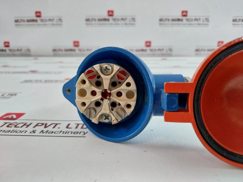 1Xpt100 Temperature Probe 170 Mm